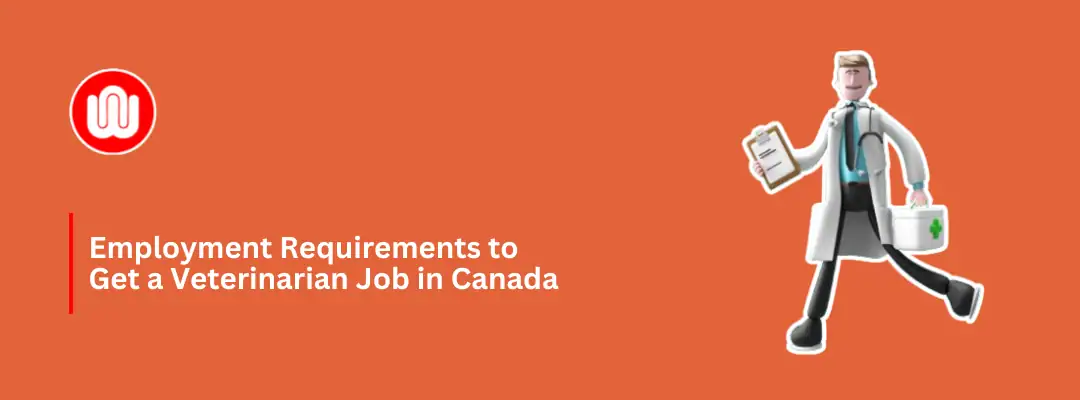 Employment Requirements to Get a Veterinarian Job in Canada